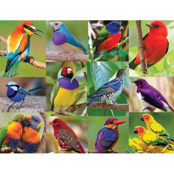 Birds of Paradise-Springbok puzzles-The Red Balloon Toy Store