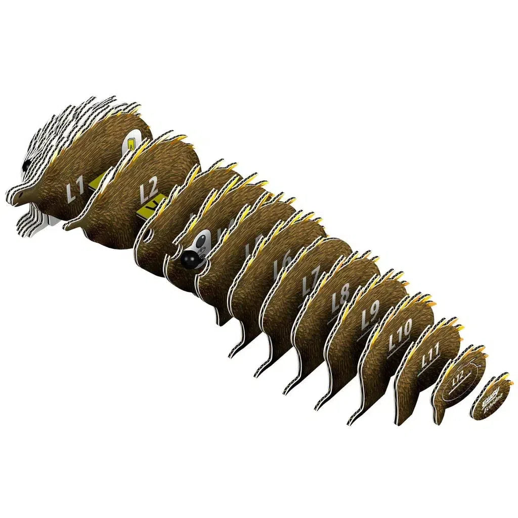 Illustration of an eco-friendly, segmented hedgehog-like creature, labeled L1 to L11. Each segment is progressively smaller and distinct, resembling an EUGY 3D puzzle.