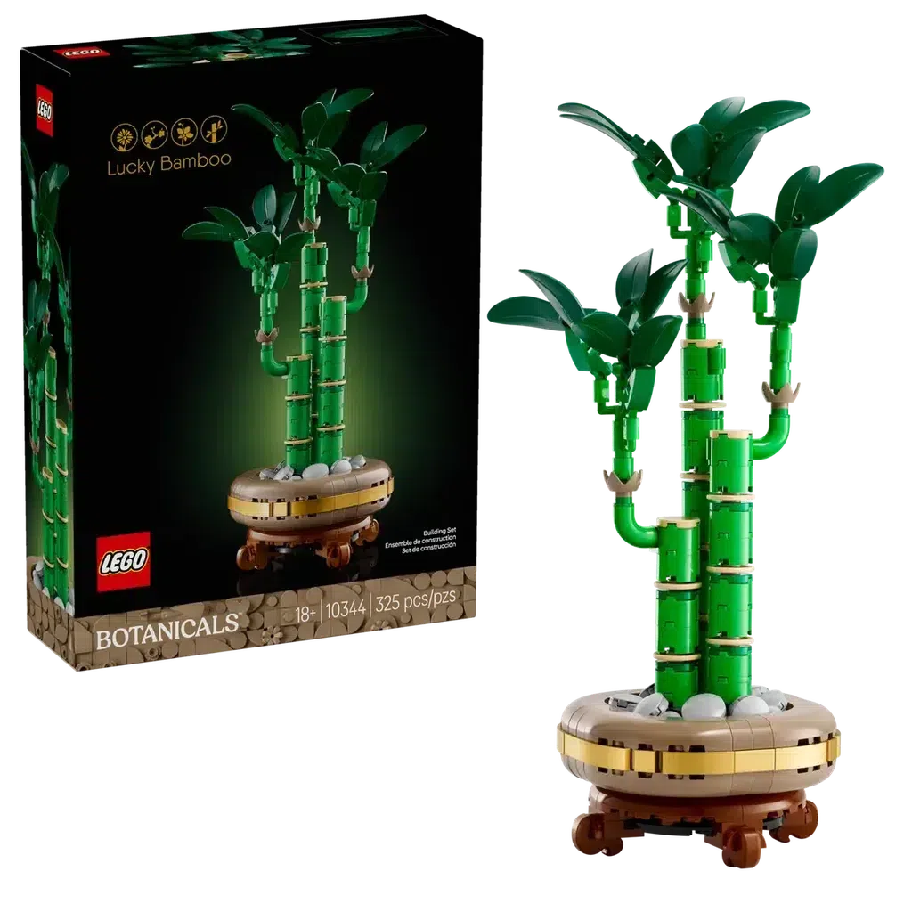 LEGO Botanical Collection's Lucky Bamboo set, featuring a model with green stems and leaves, displayed alongside its packaging.