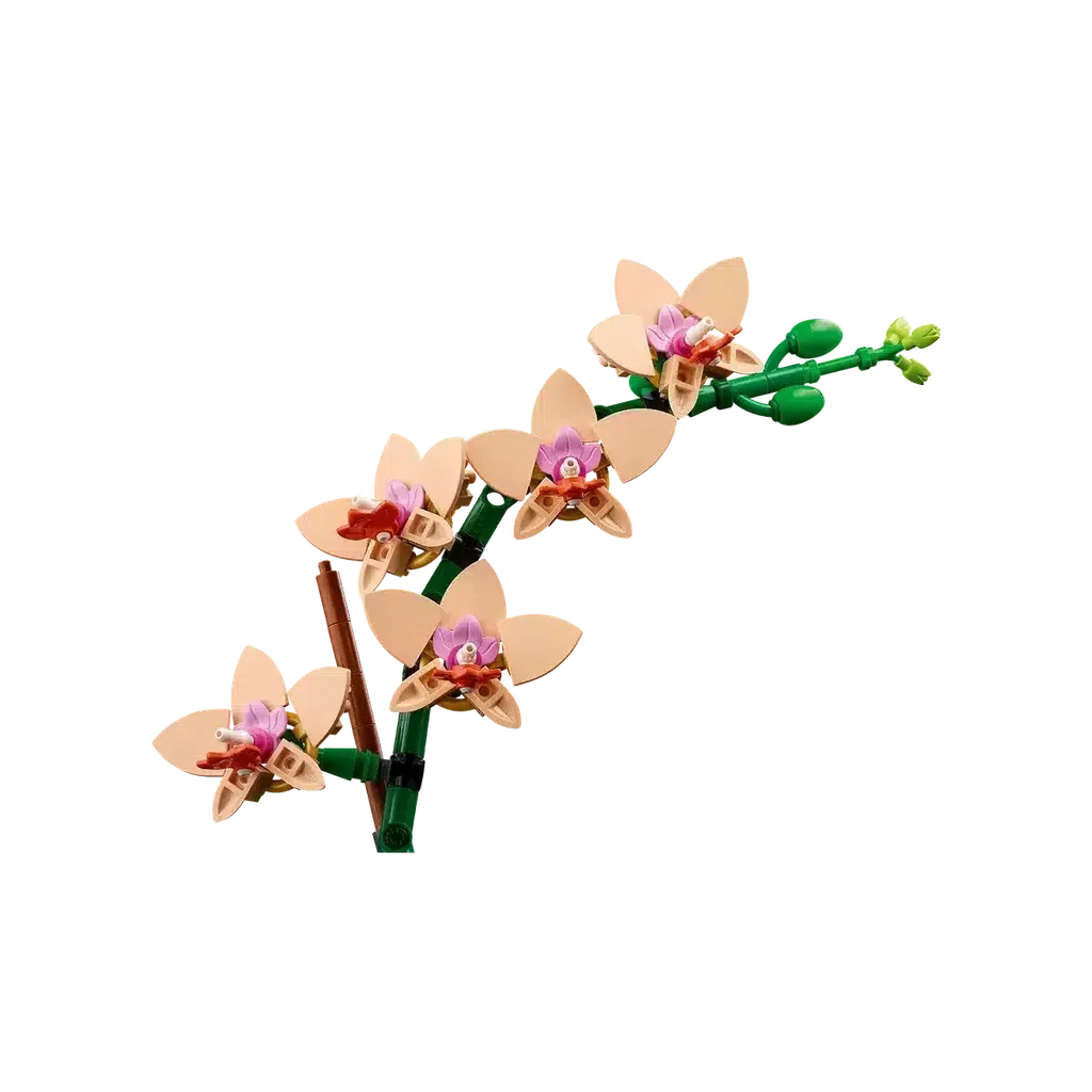 Lego model of an orchid plant with five beige flowers and green stems, set against a plain background.