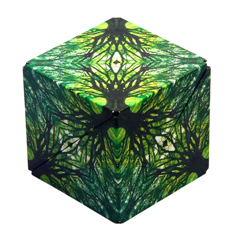 The cube, crafted with intricate green and black tree-like patterns on its surface, is a Shashibo that transforms into shapes with the power of rare earth magnets.