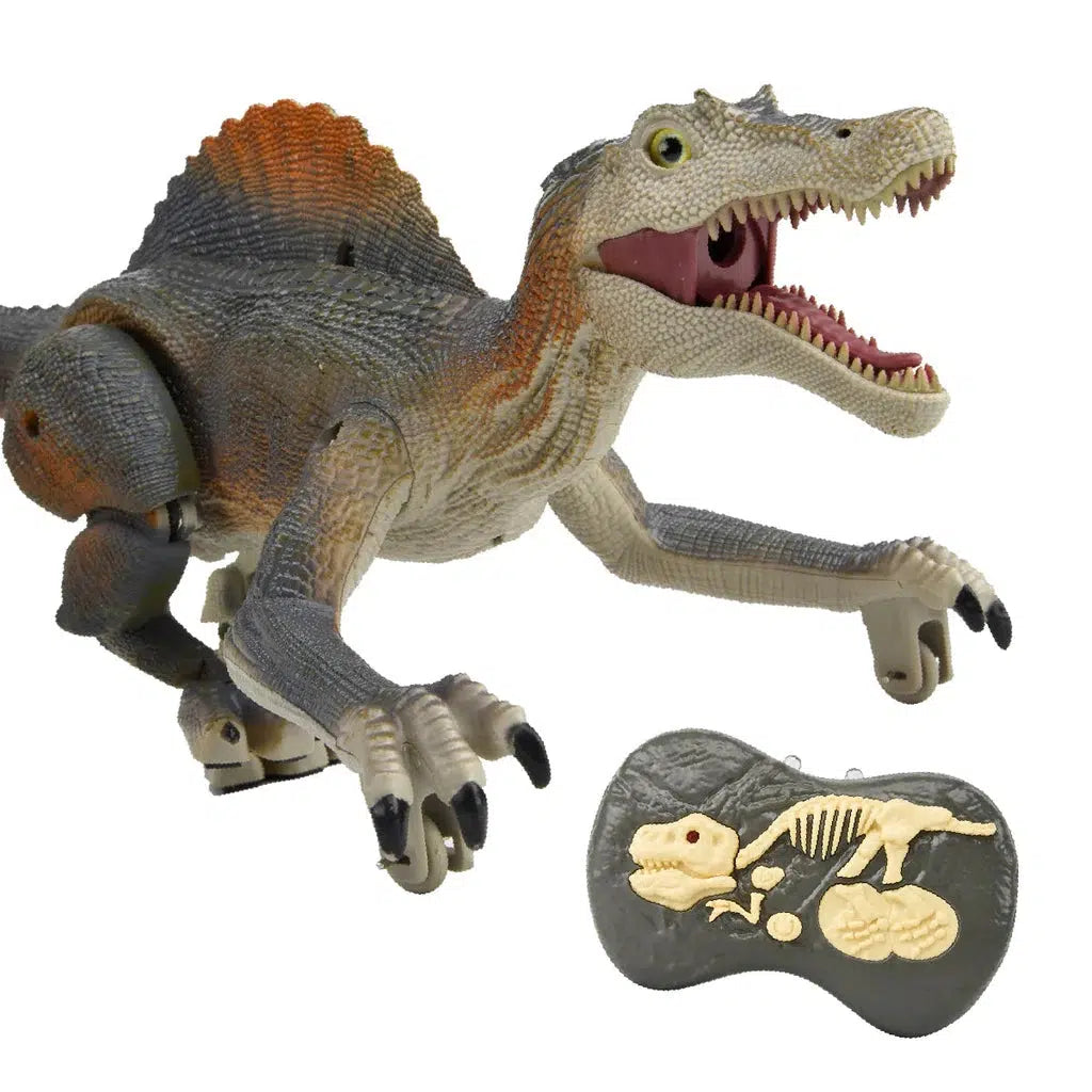 A remote-controlled Spinosaurus toy stands on two legs, featuring large teeth and a spiny back. Beside it is a gray oval piece with a raised dinosaur skeleton design.